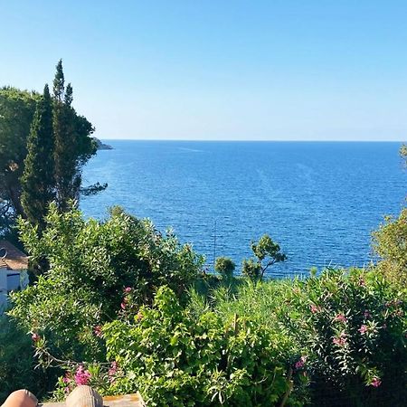 Apartament Casa Sprizze Marciana Marina  Zewnętrze zdjęcie