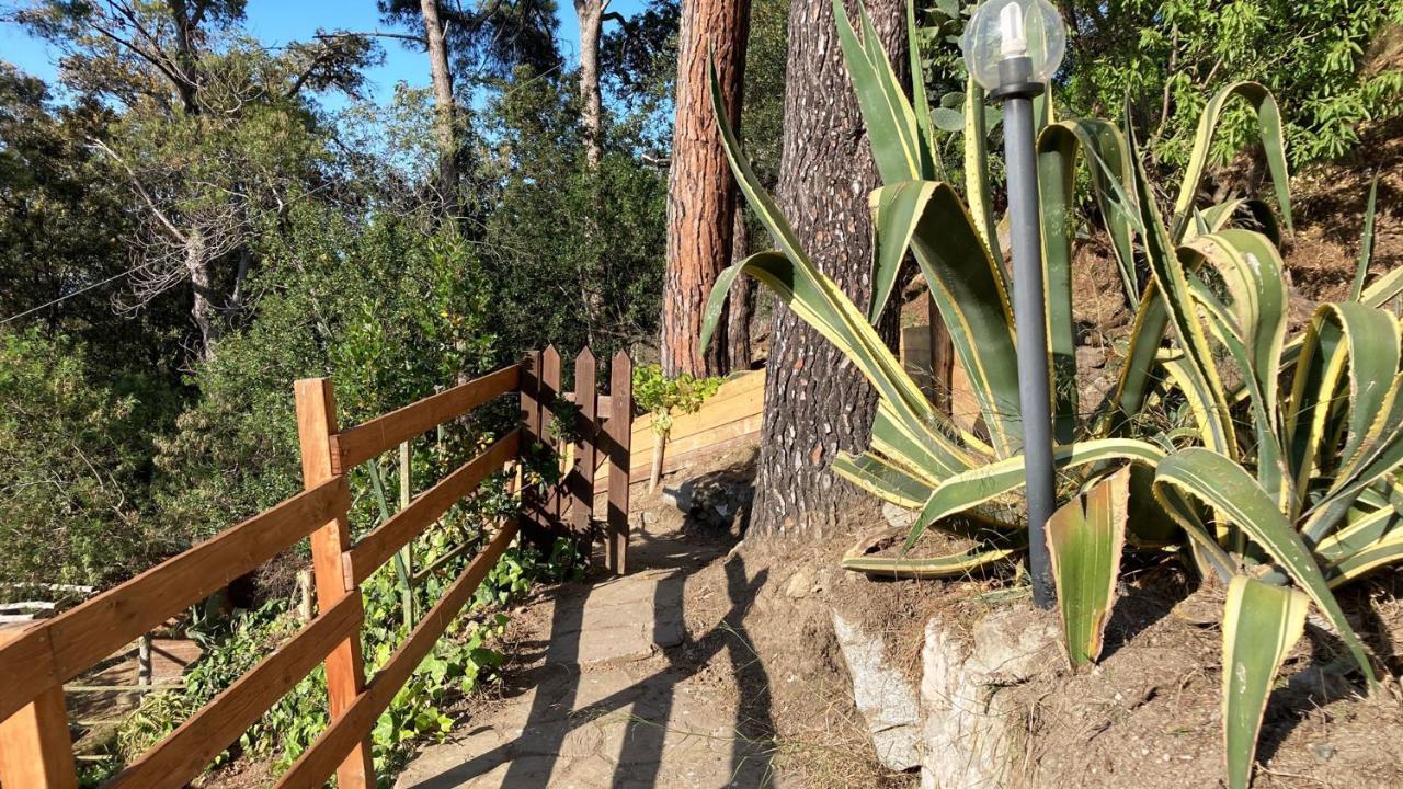 Apartament Casa Sprizze Marciana Marina  Zewnętrze zdjęcie